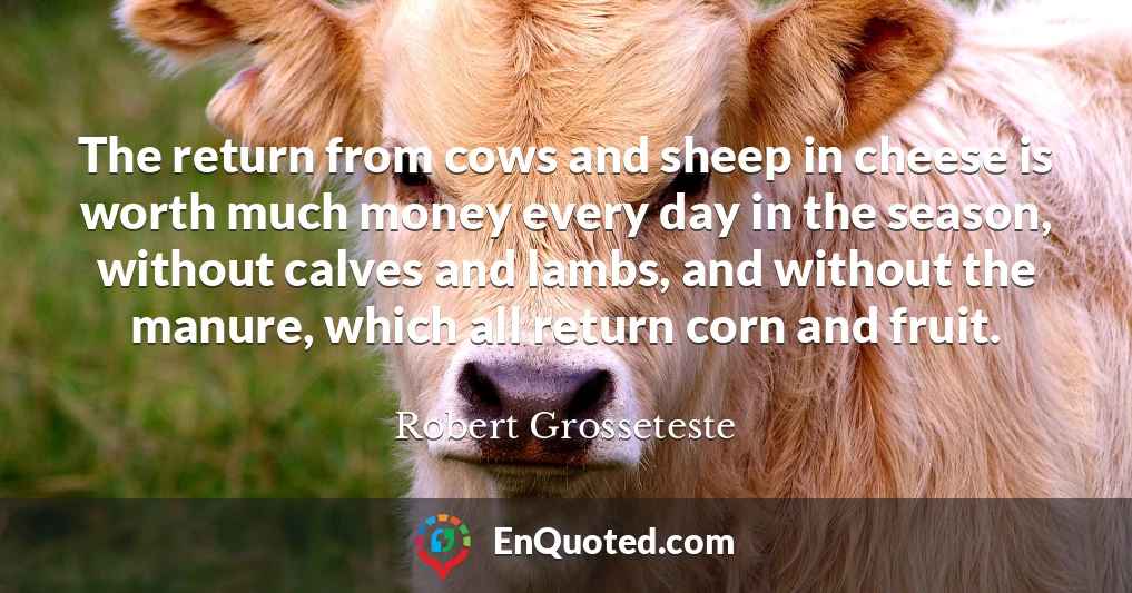 The return from cows and sheep in cheese is worth much money every day in the season, without calves and lambs, and without the manure, which all return corn and fruit.