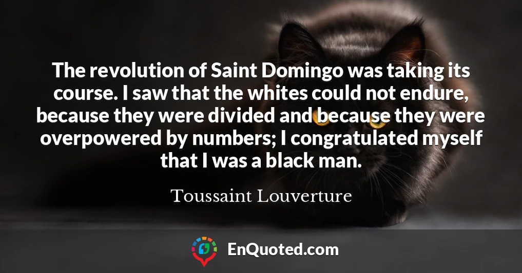 The revolution of Saint Domingo was taking its course. I saw that the whites could not endure, because they were divided and because they were overpowered by numbers; I congratulated myself that I was a black man.