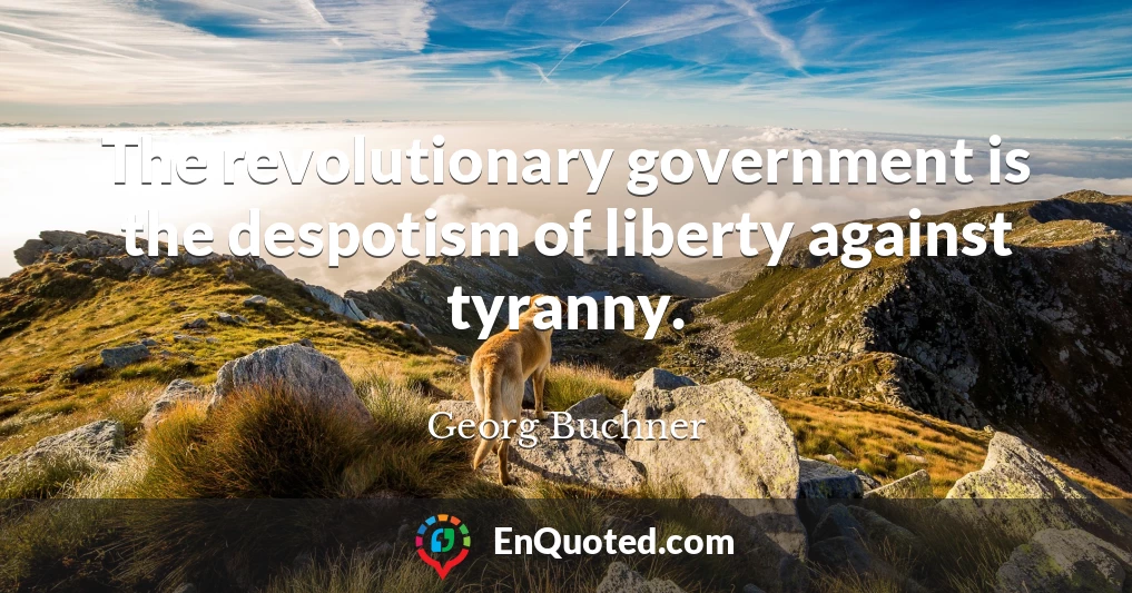 The revolutionary government is the despotism of liberty against tyranny.