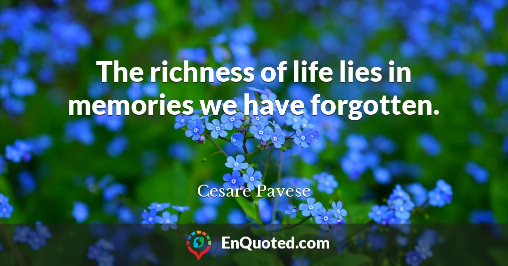The richness of life lies in memories we have forgotten.