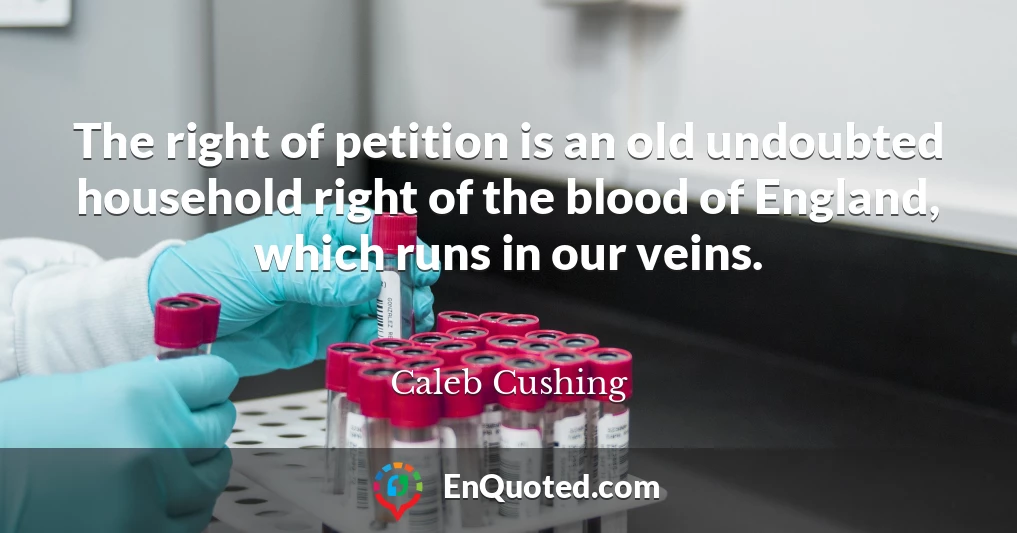 The right of petition is an old undoubted household right of the blood of England, which runs in our veins.