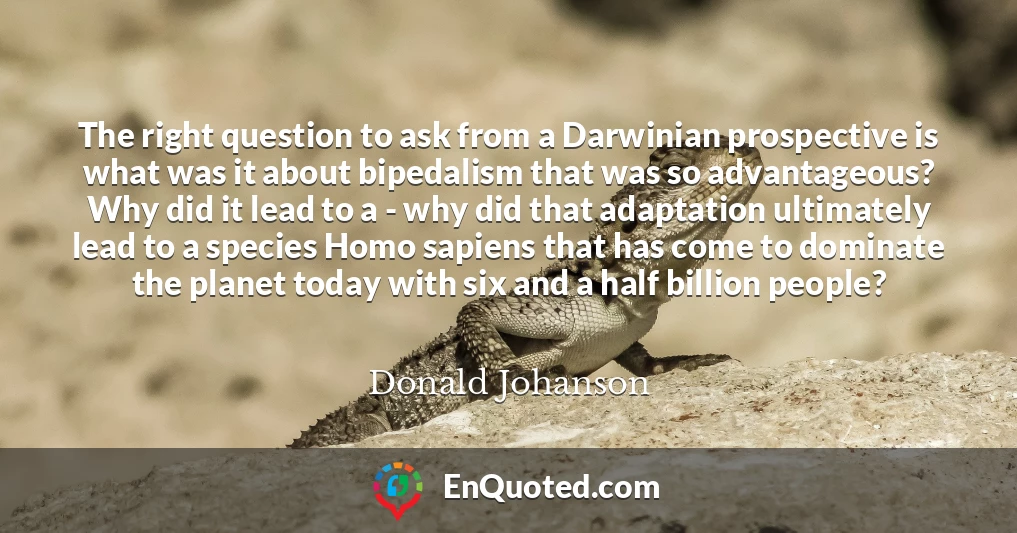 The right question to ask from a Darwinian prospective is what was it about bipedalism that was so advantageous? Why did it lead to a - why did that adaptation ultimately lead to a species Homo sapiens that has come to dominate the planet today with six and a half billion people?