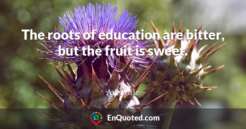 The roots of education are bitter, but the fruit is sweet.