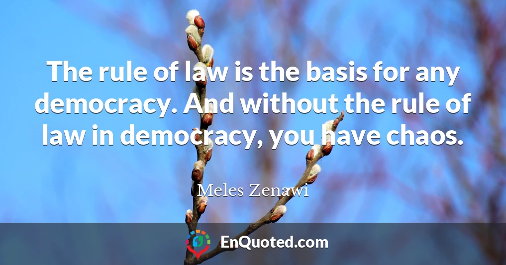 The rule of law is the basis for any democracy. And without the rule of law in democracy, you have chaos.