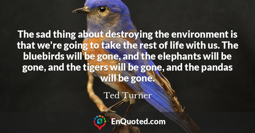 The sad thing about destroying the environment is that we're going to take the rest of life with us. The bluebirds will be gone, and the elephants will be gone, and the tigers will be gone, and the pandas will be gone.
