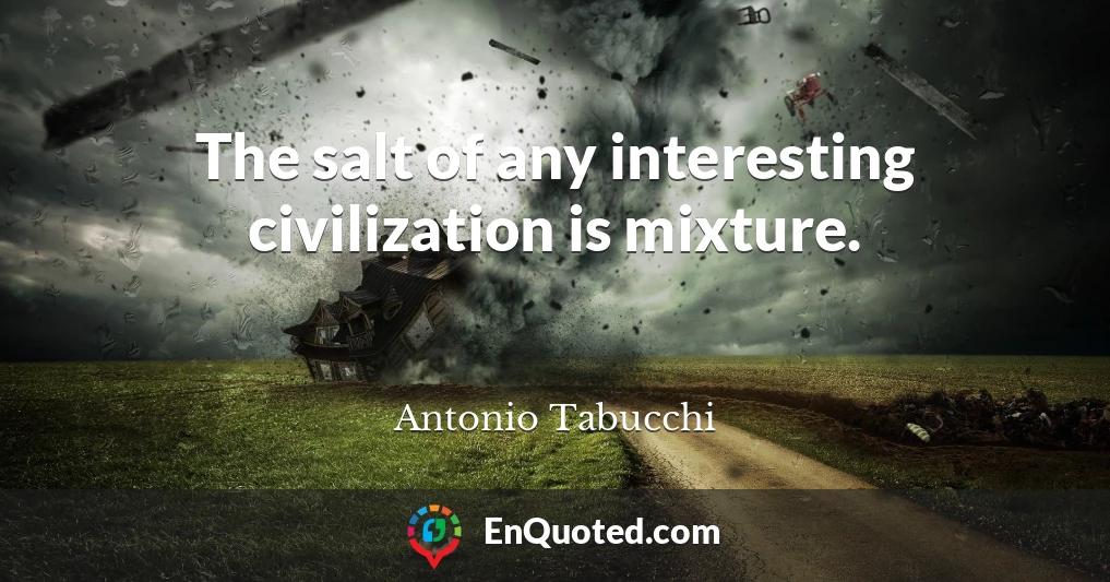 The salt of any interesting civilization is mixture.