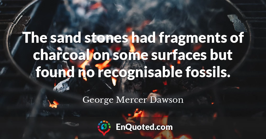 The sand stones had fragments of charcoal on some surfaces but found no recognisable fossils.
