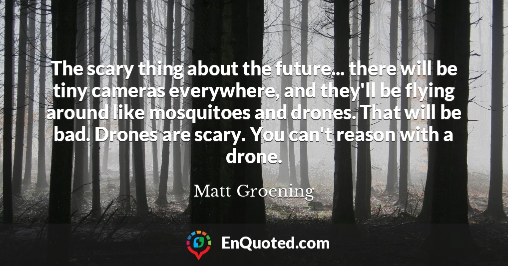 The scary thing about the future... there will be tiny cameras everywhere, and they'll be flying around like mosquitoes and drones. That will be bad. Drones are scary. You can't reason with a drone.