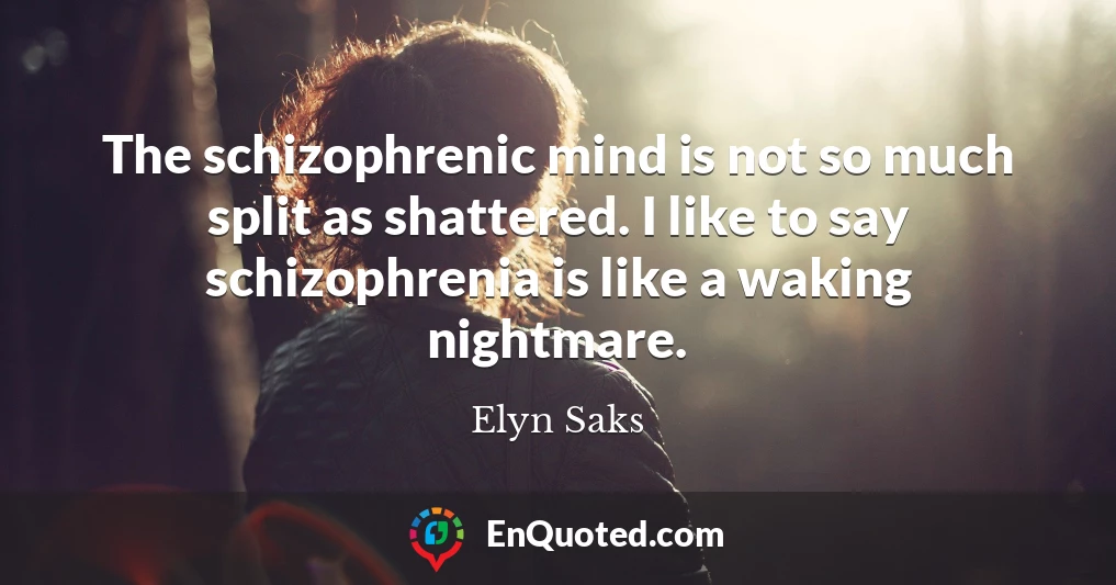 The schizophrenic mind is not so much split as shattered. I like to say schizophrenia is like a waking nightmare.
