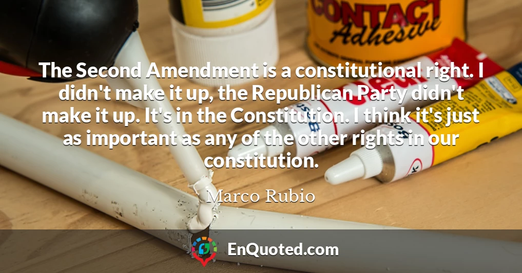 The Second Amendment is a constitutional right. I didn't make it up, the Republican Party didn't make it up. It's in the Constitution. I think it's just as important as any of the other rights in our constitution.