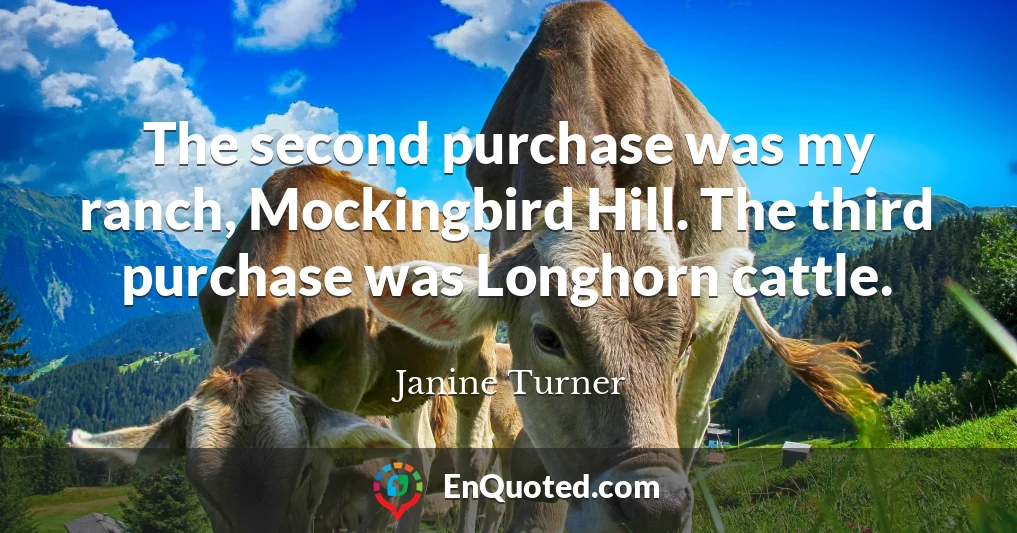 The second purchase was my ranch, Mockingbird Hill. The third purchase was Longhorn cattle.
