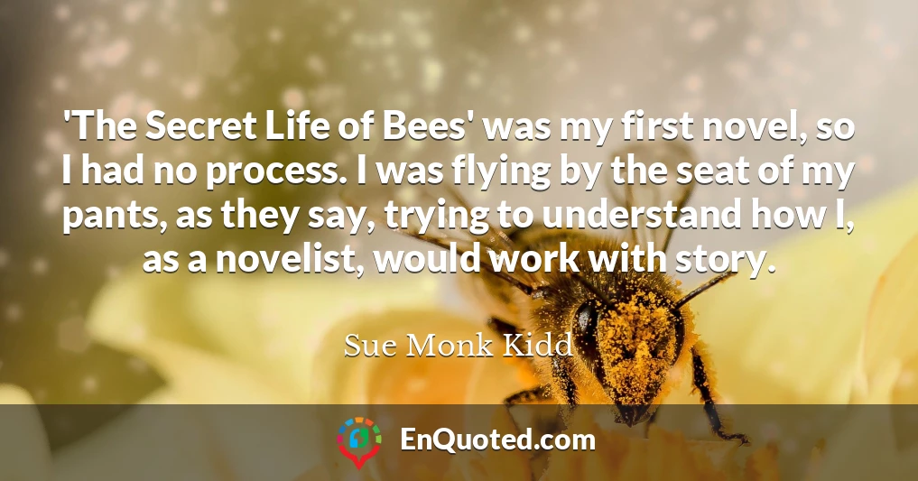 'The Secret Life of Bees' was my first novel, so I had no process. I was flying by the seat of my pants, as they say, trying to understand how I, as a novelist, would work with story.