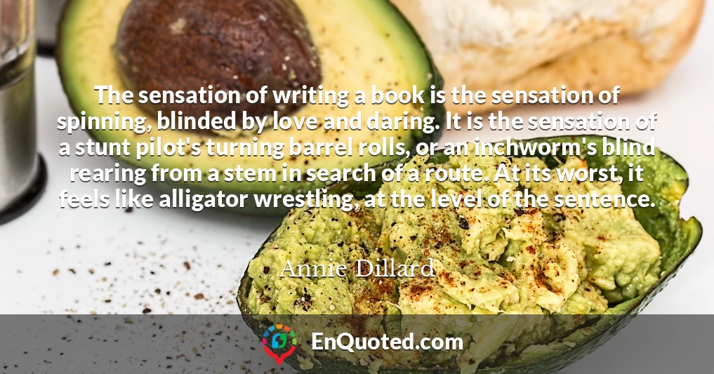 The sensation of writing a book is the sensation of spinning, blinded by love and daring. It is the sensation of a stunt pilot's turning barrel rolls, or an inchworm's blind rearing from a stem in search of a route. At its worst, it feels like alligator wrestling, at the level of the sentence.