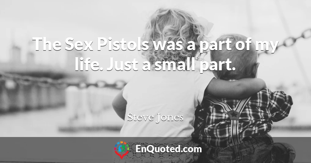 The Sex Pistols was a part of my life. Just a small part.