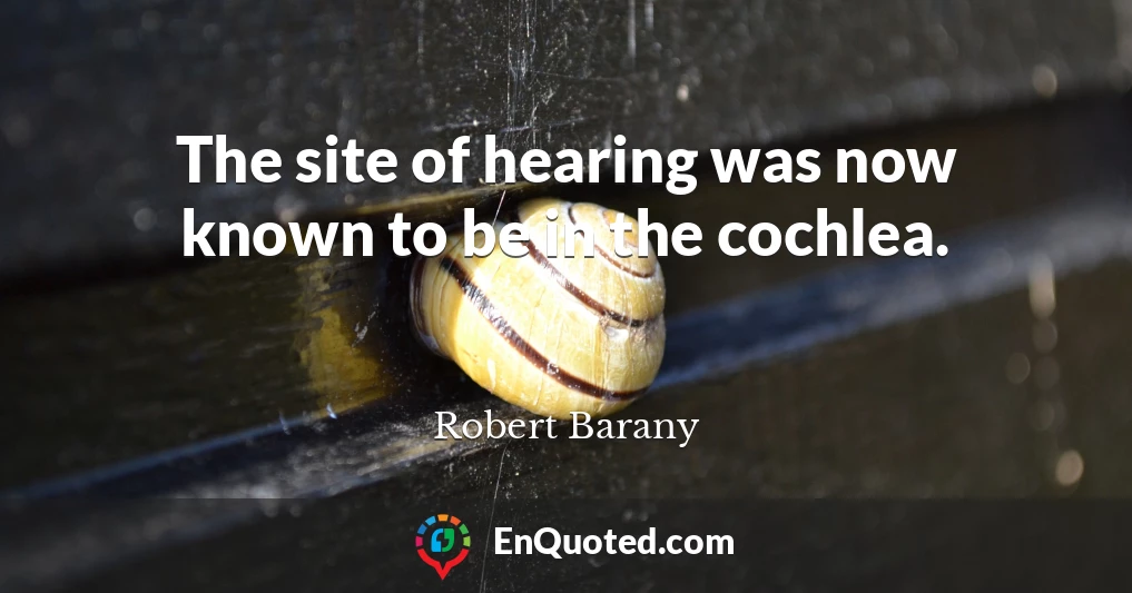 The site of hearing was now known to be in the cochlea.