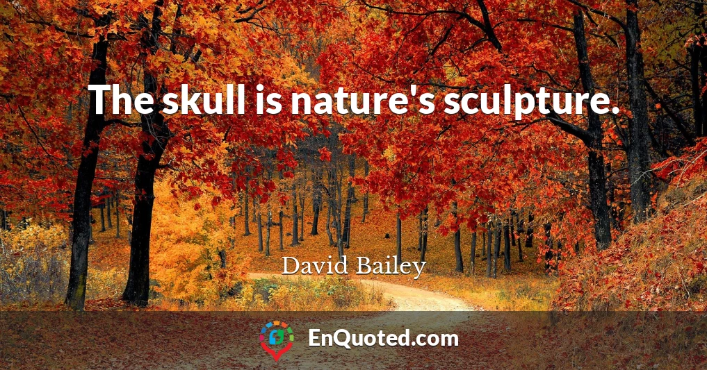 The skull is nature's sculpture.