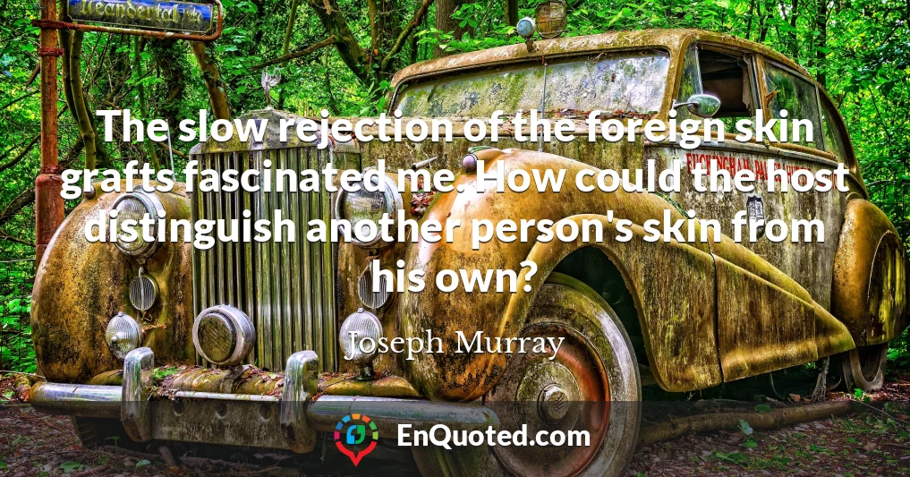 The slow rejection of the foreign skin grafts fascinated me. How could the host distinguish another person's skin from his own?