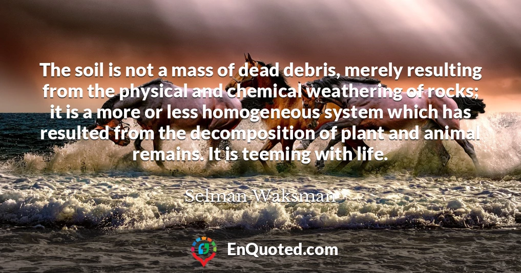 The soil is not a mass of dead debris, merely resulting from the physical and chemical weathering of rocks; it is a more or less homogeneous system which has resulted from the decomposition of plant and animal remains. It is teeming with life.