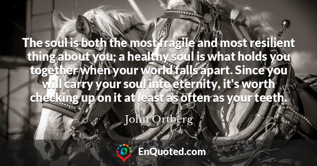 The soul is both the most fragile and most resilient thing about you; a healthy soul is what holds you together when your world falls apart. Since you will carry your soul into eternity, it's worth checking up on it at least as often as your teeth.