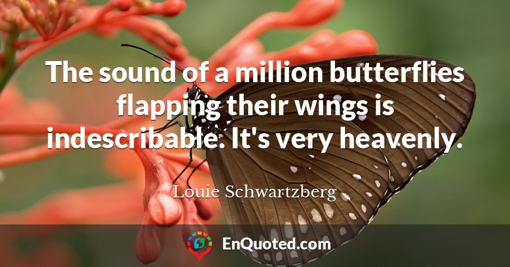 The sound of a million butterflies flapping their wings is indescribable. It's very heavenly.