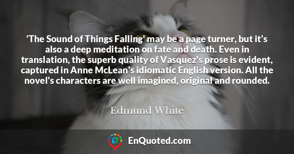 'The Sound of Things Falling' may be a page turner, but it's also a deep meditation on fate and death. Even in translation, the superb quality of Vasquez's prose is evident, captured in Anne McLean's idiomatic English version. All the novel's characters are well imagined, original and rounded.