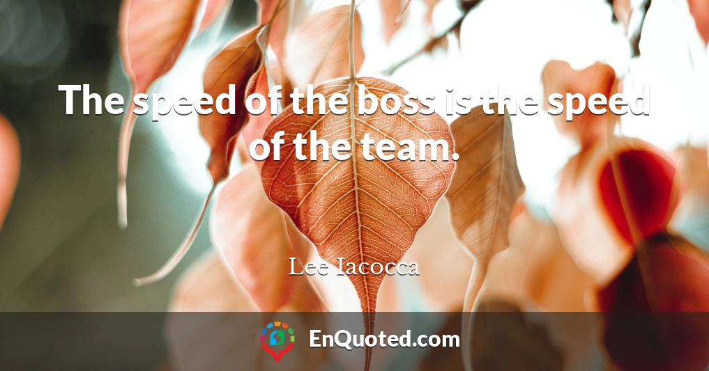 The speed of the boss is the speed of the team.