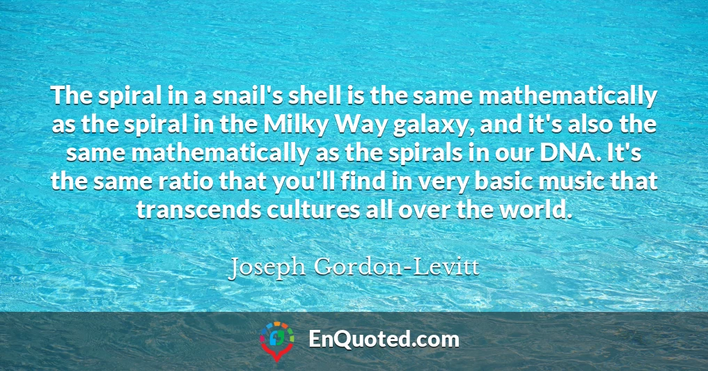 The spiral in a snail's shell is the same mathematically as the spiral in the Milky Way galaxy, and it's also the same mathematically as the spirals in our DNA. It's the same ratio that you'll find in very basic music that transcends cultures all over the world.