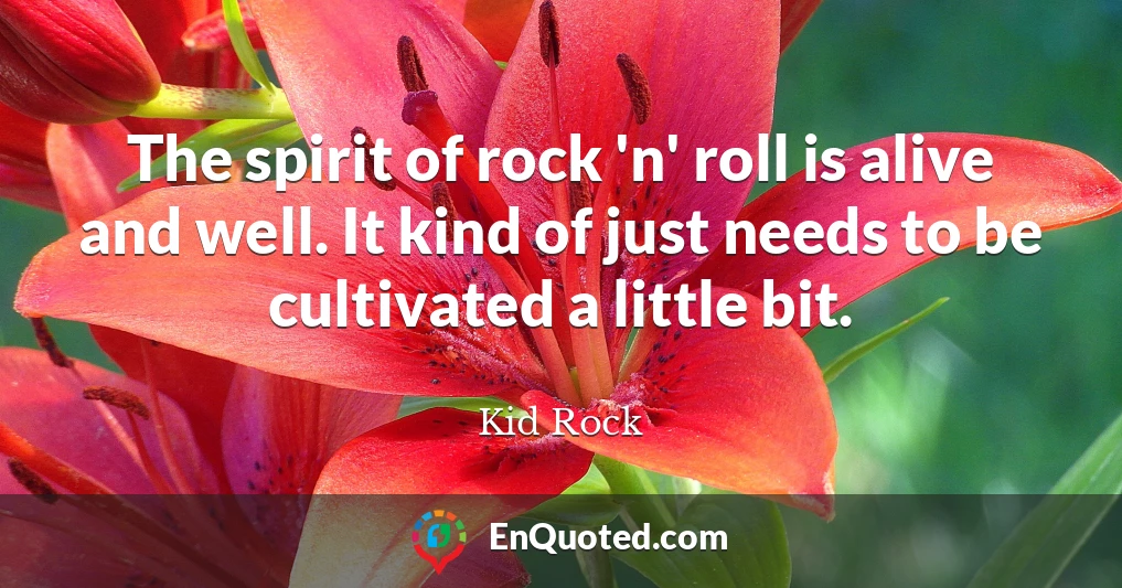 The spirit of rock 'n' roll is alive and well. It kind of just needs to be cultivated a little bit.