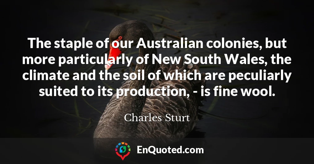 The staple of our Australian colonies, but more particularly of New South Wales, the climate and the soil of which are peculiarly suited to its production, - is fine wool.