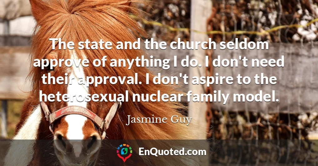 The state and the church seldom approve of anything I do. I don't need their approval. I don't aspire to the heterosexual nuclear family model.