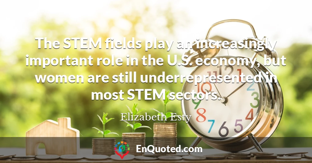 The STEM fields play an increasingly important role in the U.S. economy, but women are still underrepresented in most STEM sectors.