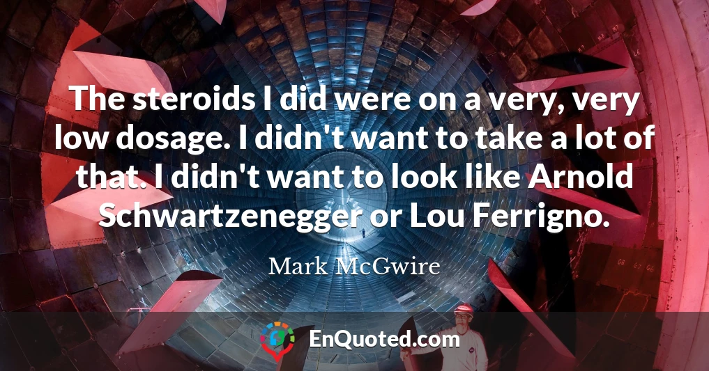 The steroids I did were on a very, very low dosage. I didn't want to take a lot of that. I didn't want to look like Arnold Schwartzenegger or Lou Ferrigno.
