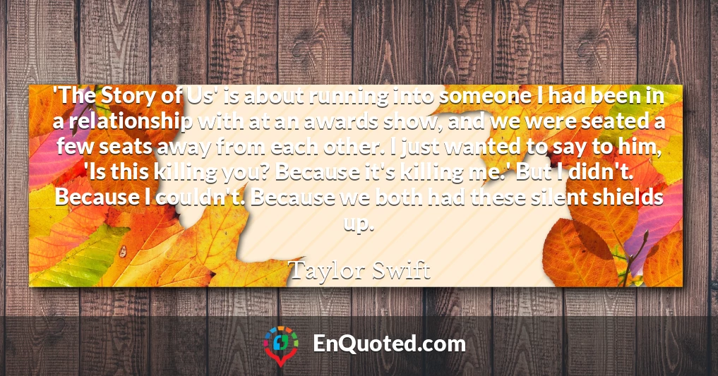 'The Story of Us' is about running into someone I had been in a relationship with at an awards show, and we were seated a few seats away from each other. I just wanted to say to him, 'Is this killing you? Because it's killing me.' But I didn't. Because I couldn't. Because we both had these silent shields up.
