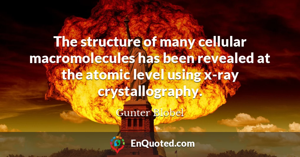 The structure of many cellular macromolecules has been revealed at the atomic level using x-ray crystallography.