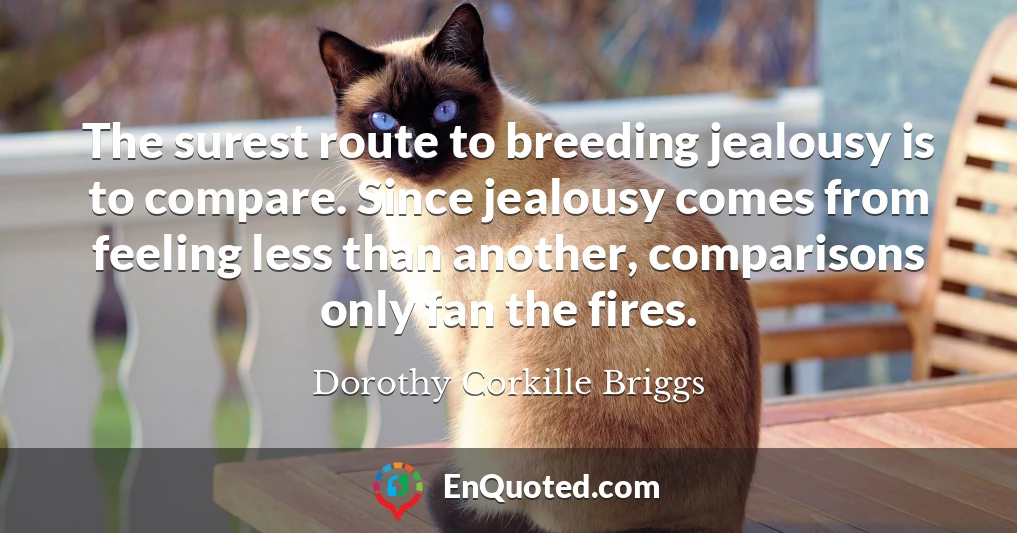 The surest route to breeding jealousy is to compare. Since jealousy comes from feeling less than another, comparisons only fan the fires.