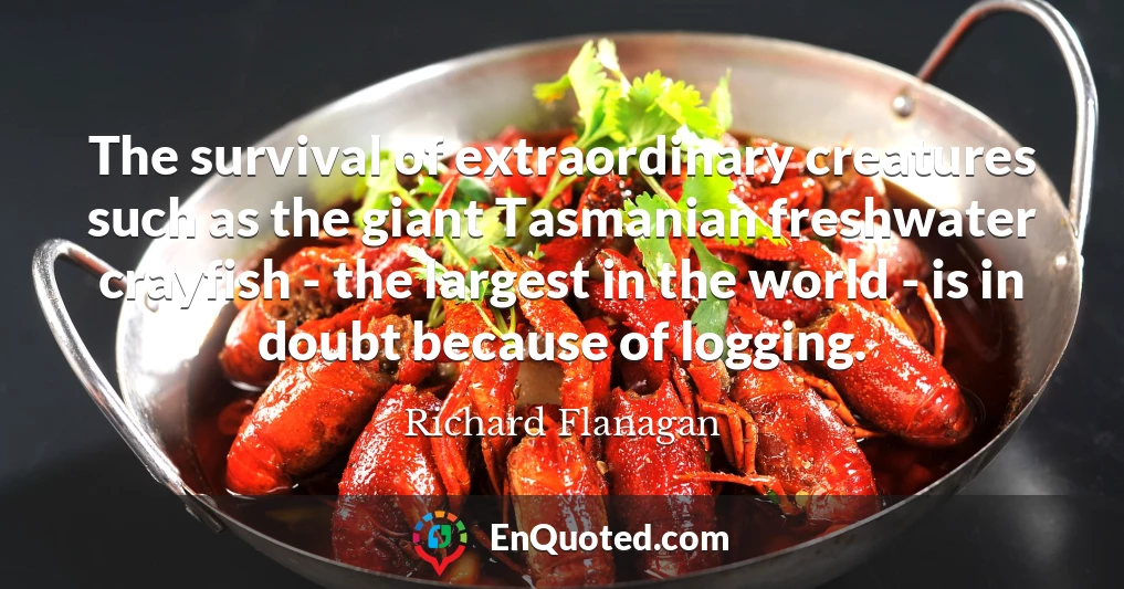 The survival of extraordinary creatures such as the giant Tasmanian freshwater crayfish - the largest in the world - is in doubt because of logging.