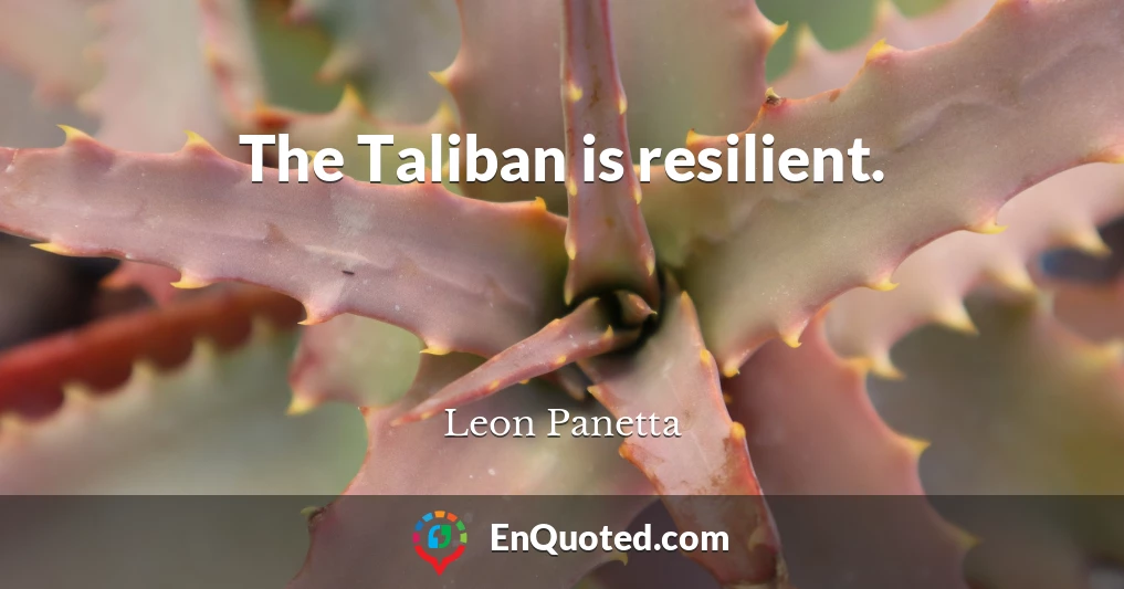 The Taliban is resilient.