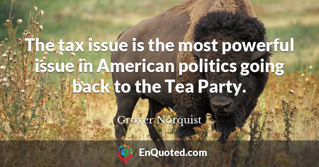 The tax issue is the most powerful issue in American politics going back to the Tea Party.