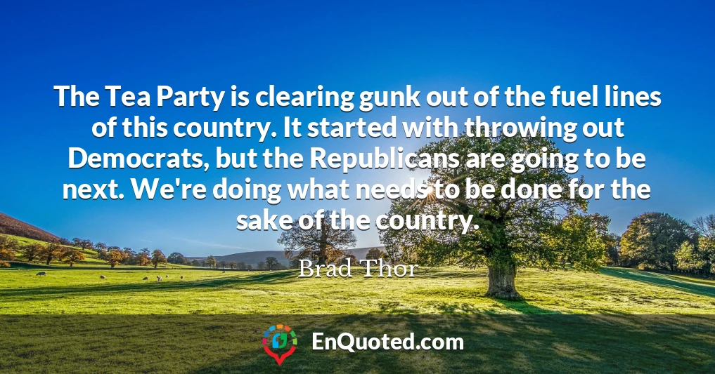 The Tea Party is clearing gunk out of the fuel lines of this country. It started with throwing out Democrats, but the Republicans are going to be next. We're doing what needs to be done for the sake of the country.