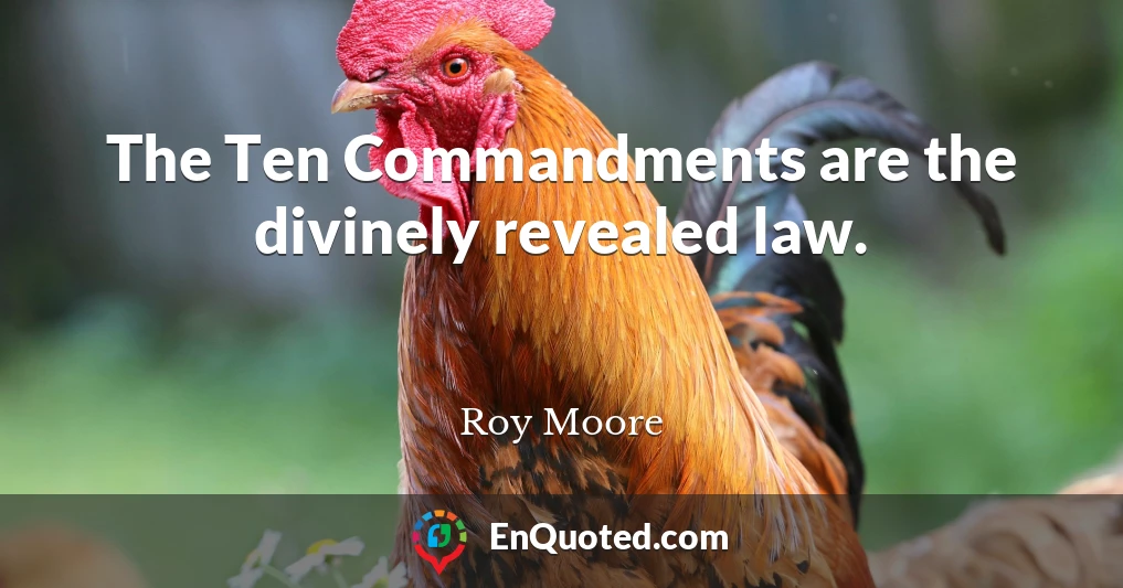 The Ten Commandments are the divinely revealed law.