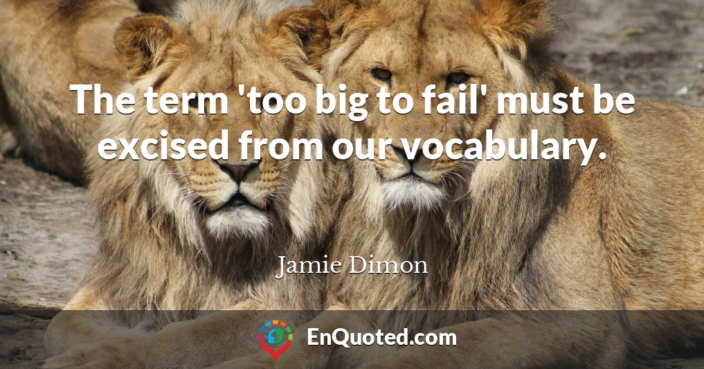 The term 'too big to fail' must be excised from our vocabulary.