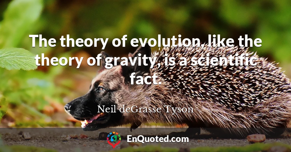 The theory of evolution, like the theory of gravity, is a scientific fact.