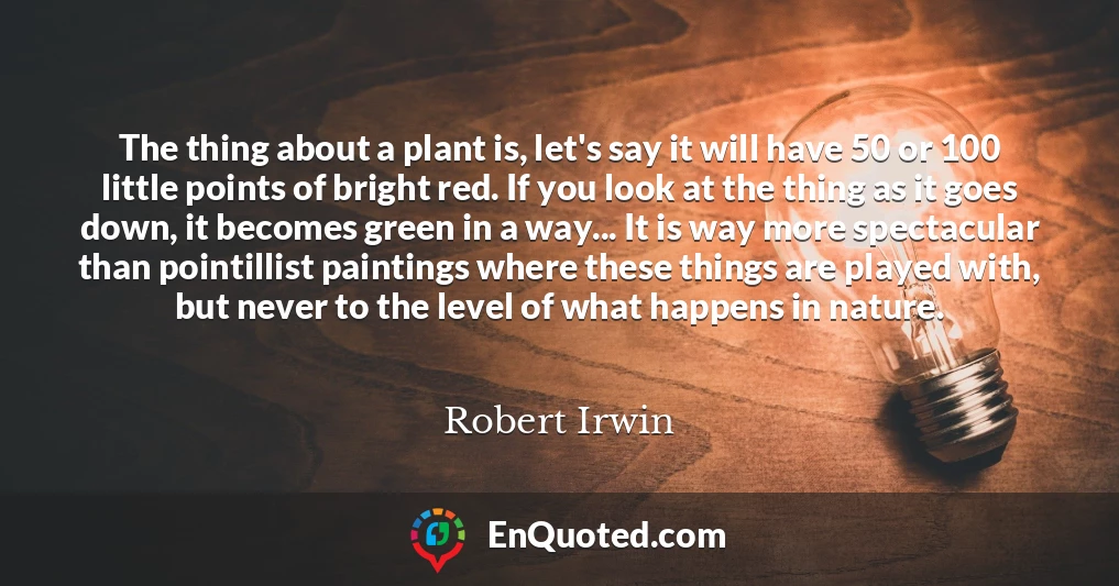 The thing about a plant is, let's say it will have 50 or 100 little points of bright red. If you look at the thing as it goes down, it becomes green in a way... It is way more spectacular than pointillist paintings where these things are played with, but never to the level of what happens in nature.