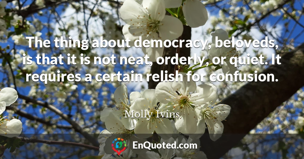 The thing about democracy, beloveds, is that it is not neat, orderly, or quiet. It requires a certain relish for confusion.