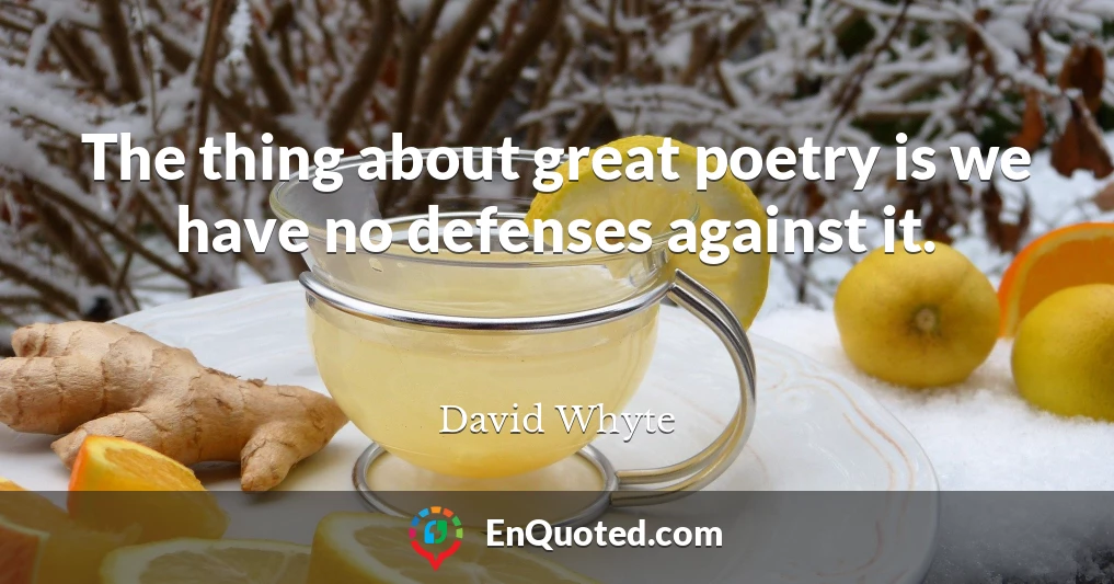 The thing about great poetry is we have no defenses against it.