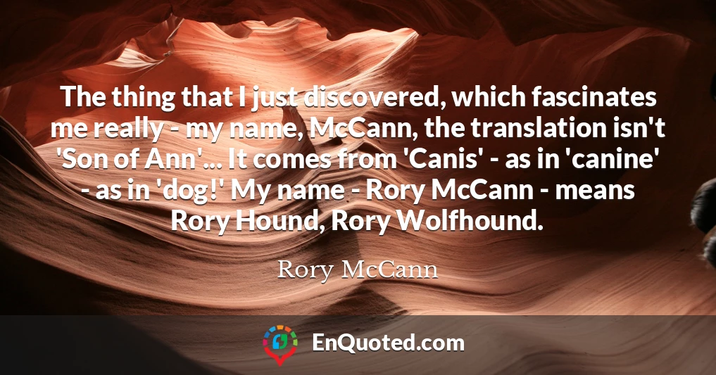 The thing that I just discovered, which fascinates me really - my name, McCann, the translation isn't 'Son of Ann'... It comes from 'Canis' - as in 'canine' - as in 'dog!' My name - Rory McCann - means Rory Hound, Rory Wolfhound.