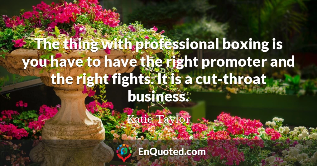 The thing with professional boxing is you have to have the right promoter and the right fights. It is a cut-throat business.
