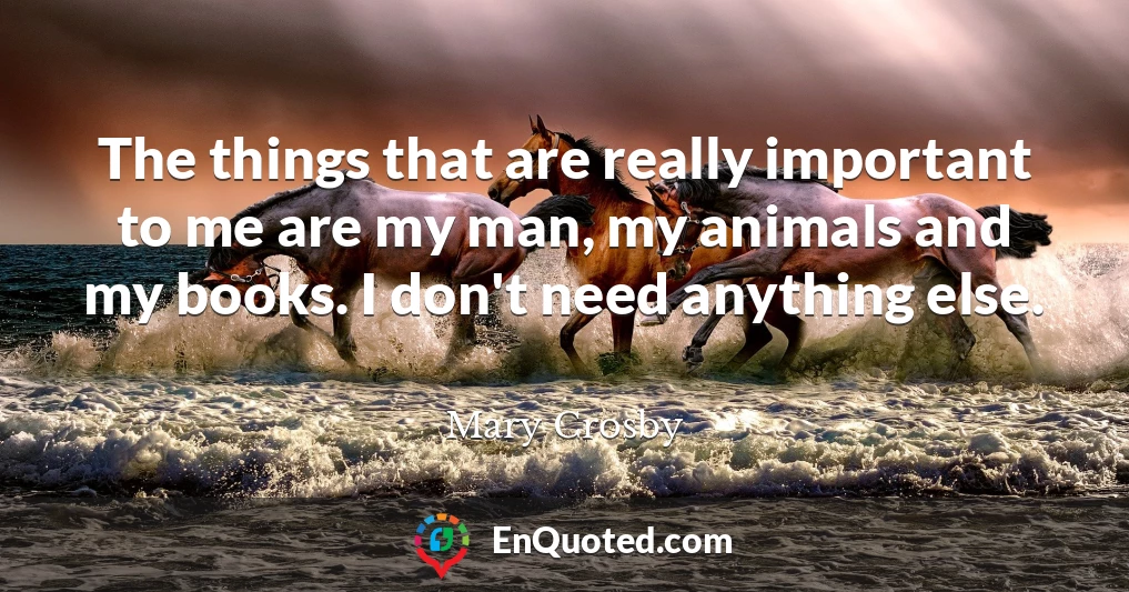 The things that are really important to me are my man, my animals and my books. I don't need anything else.