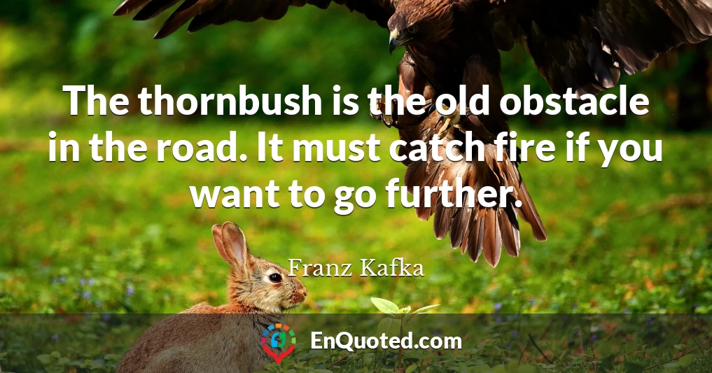 The thornbush is the old obstacle in the road. It must catch fire if you want to go further.