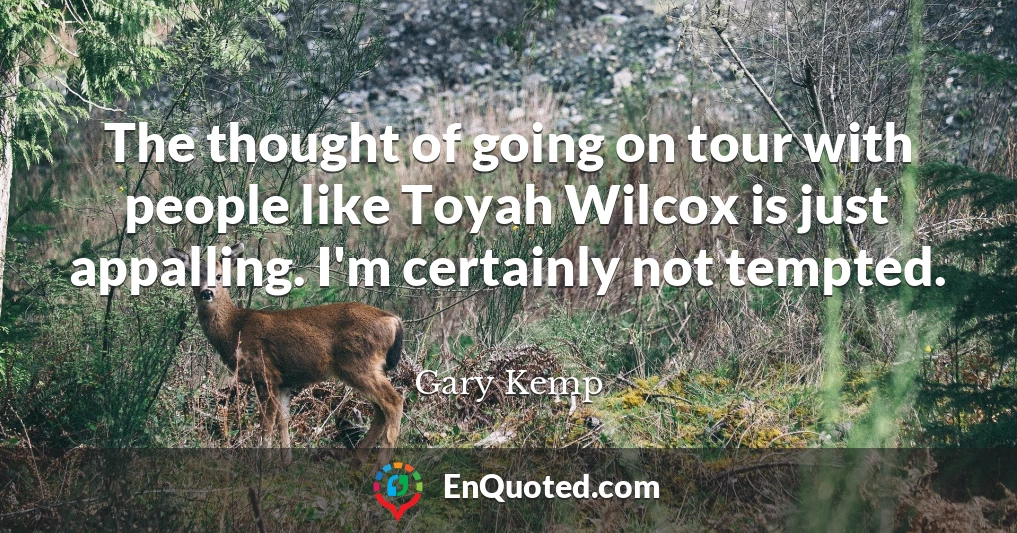 The thought of going on tour with people like Toyah Wilcox is just appalling. I'm certainly not tempted.